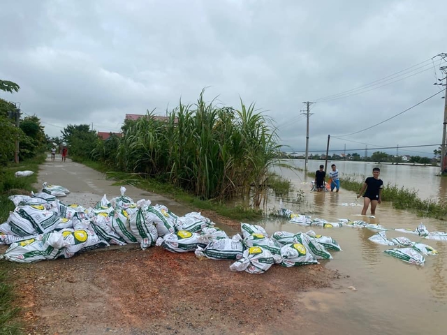 &quot;4000 con gà sắp xuất bán thì lũ về chết sạch, nước lên nhanh không cứu kịp&quot; - Ảnh 2.