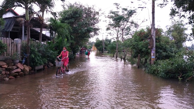 Thừa Thiên Huế sẵn sàng phương án ứng phó mưa lũ, học sinh được nghỉ học từ chiều 14/10 - Ảnh 3.