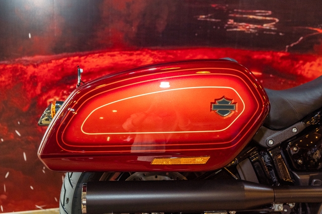 Chiêm ngưỡng Harley-Davidson Low Rider El Diablo chỉ có 3 chiếc tại Việt Nam, giá 1,039 tỷ đồng - Ảnh 6.