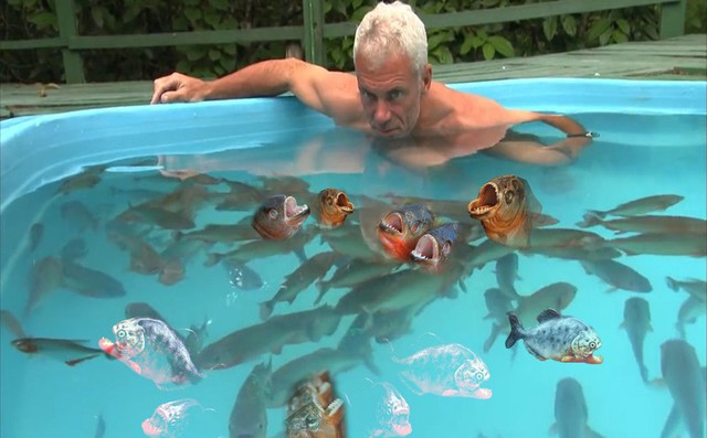 Đây là những điều sẽ xảy ra nếu bạn thả một con cá sấu vào hồ đầy cá ăn thịt piranha - Ảnh 6.