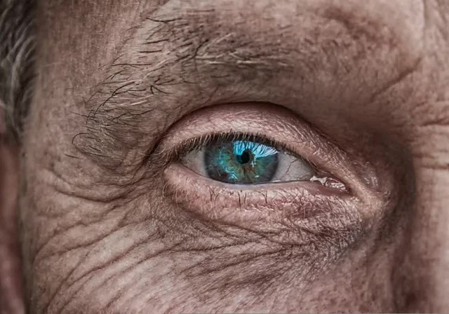 Nghiên cứu mới cho thấy tất cả những người mắt xanh trên hành tinh của chúng ta có chung một tổ tiên duy nhất! - Ảnh 1.