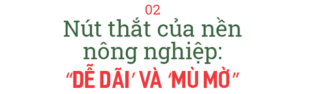 Doanh nhân Nguyễn Thị Thành Thực: Từ thương lái ‘khét tiếng’ mua cả một nông trường cam Trung Quốc đến startup nông nghiệp công nghệ ở tuổi U60 - Ảnh 4.