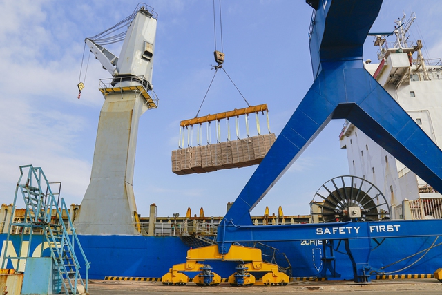 Cảng Chu Lai phát triển mạnh dịch vụ xuất nhập khẩu hàng rời  - Ảnh 2.