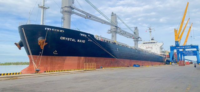Cảng Chu Lai phát triển mạnh dịch vụ xuất nhập khẩu hàng rời  - Ảnh 6.