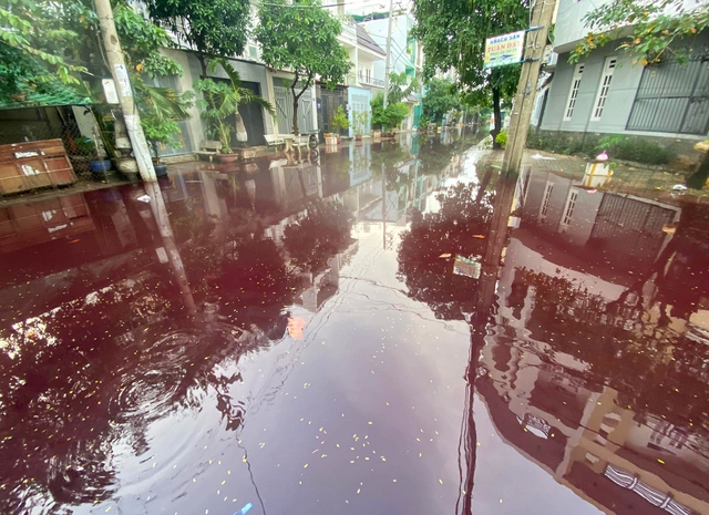 Sau cơn mưa, khu dân cư ở TP.HCM bị ngập nước có màu đỏ bất thường  - Ảnh 1.