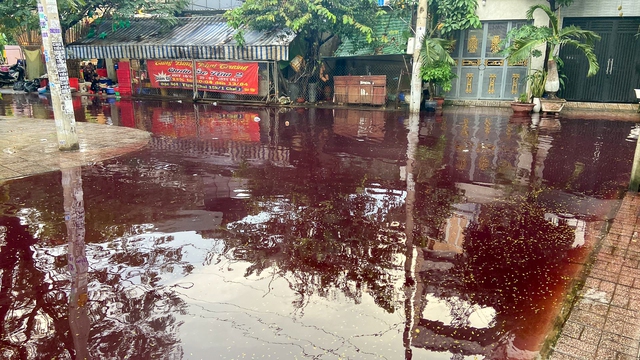 Sau cơn mưa, khu dân cư ở TP.HCM bị ngập nước có màu đỏ bất thường  - Ảnh 4.