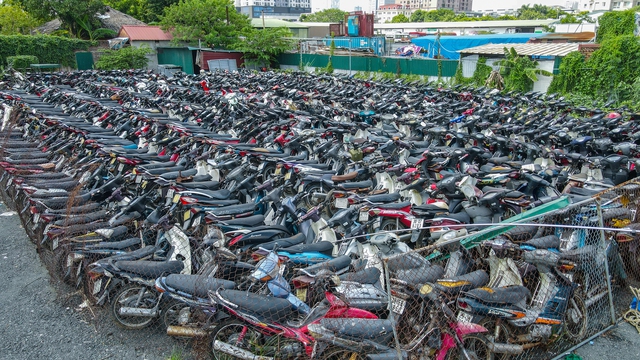 Hà Nội: Hàng nghìn chiếc xe máy vi phạm giao thông chồng chất lên nhau, cỏ mọc um tùm - Ảnh 2.