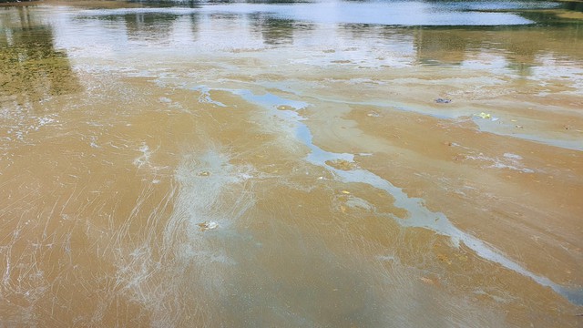 TP Huế: Nước Hồ Trái Tim nổi váng màu vàng bất thường sau bão - Ảnh 4.