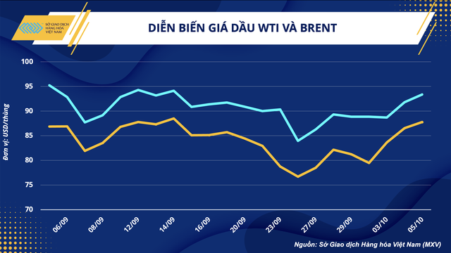 Liệu quyết định cắt giảm sản lượng có thực sự giúp OPEC+ cứu vớt giá dầu? - Ảnh 1.