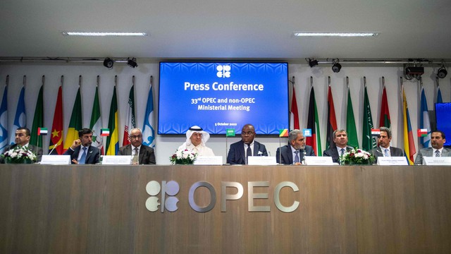 Nhóm OPEC+ cắt giảm sản lượng dầu thô: Không liên quan tới Nga - Ảnh 1.