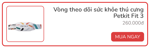 Review vòng theo dõi sức khỏe thú cưng Petkit Fit 3: Rẻ, đẹp, pin siêu bền - Ảnh 9.