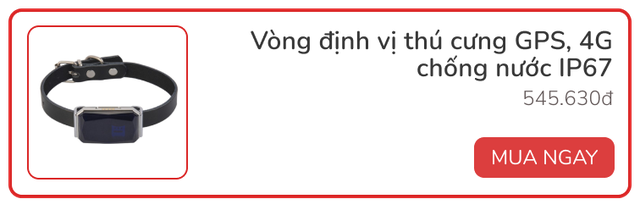 Review vòng theo dõi sức khỏe thú cưng Petkit Fit 3: Rẻ, đẹp, pin siêu bền - Ảnh 12.