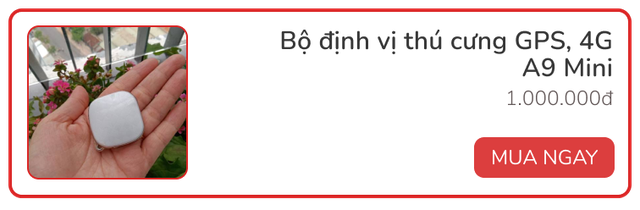 Review vòng theo dõi sức khỏe thú cưng Petkit Fit 3: Rẻ, đẹp, pin siêu bền - Ảnh 13.