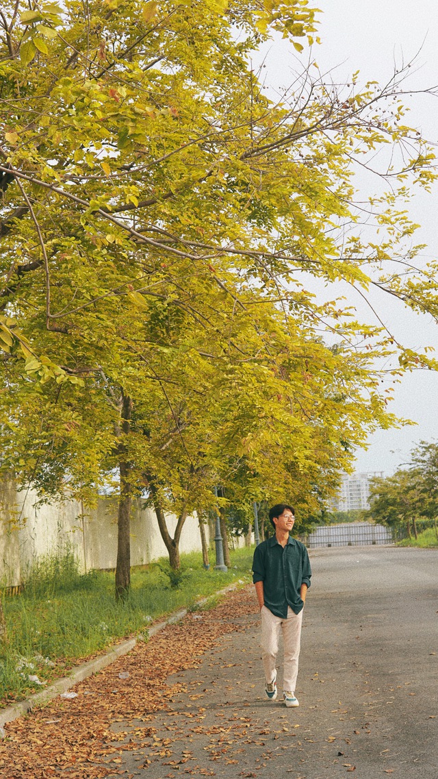 Phát sốt với những “khung cảnh mùa thu” tại TP.HCM, khắp nơi đều ngập lá vàng lãng mạn tựa phim Hàn - Ảnh 4.