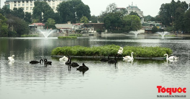 Để những tuyến phố đi bộ Hà Nội là nơi quảng bá văn hóa, du lịch hiệu quả - Ảnh 3.