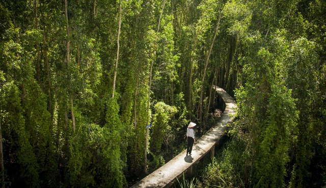 Những con đường được tín đồ du lịch đánh giá là đẹp nhất Việt Nam - Ảnh 2.