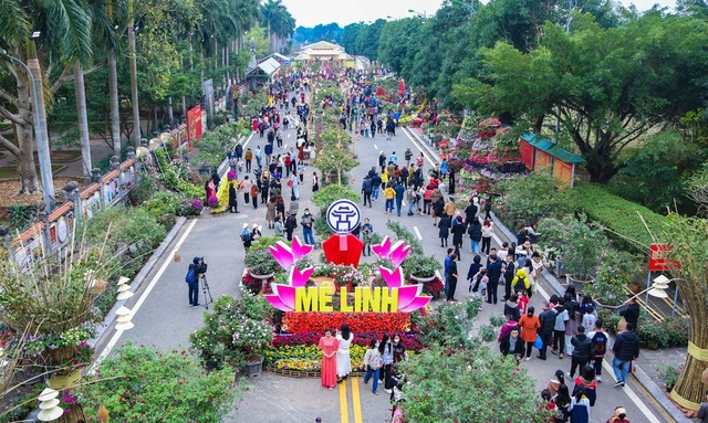 Gần 100 nghìn lượt người dự Lễ hội hoa Mê Linh 2022 - Ảnh 2.