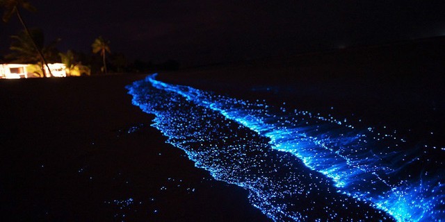 Có một bãi biển phát sáng ở quốc đảo thiên đường, &quot;đẹp nhất thế giới&quot; Maldives - Ảnh 3.