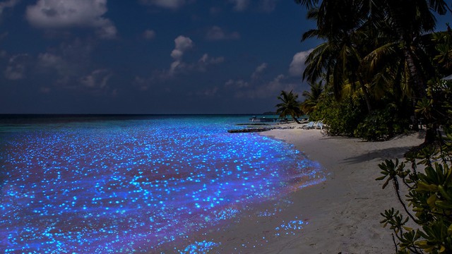 Có một bãi biển phát sáng ở quốc đảo thiên đường, &quot;đẹp nhất thế giới&quot; Maldives - Ảnh 4.