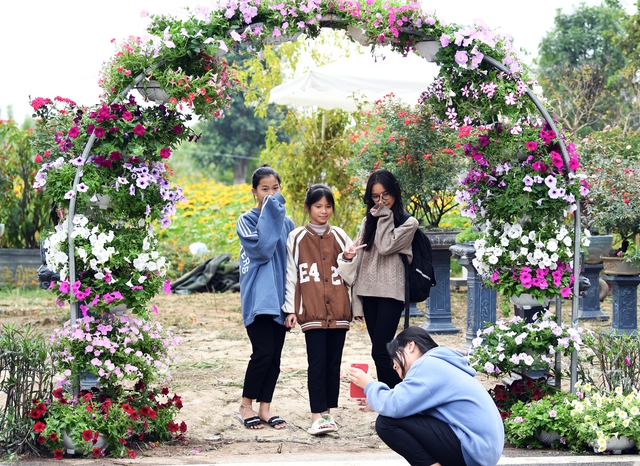 Nghệ nhân trồng hoa Mê Linh, Hà Nội tất bật chuẩn bị cho lễ hội hoa 2022 - Ảnh 12.