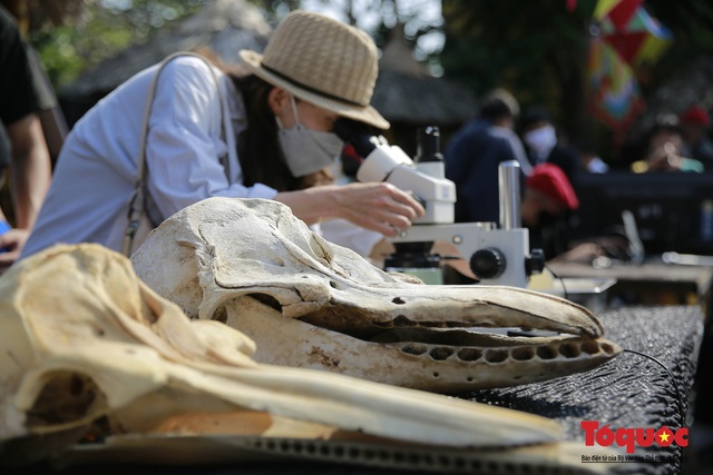 “Nghệ thuật vì môi trường” tại Hội An - Ảnh 10.