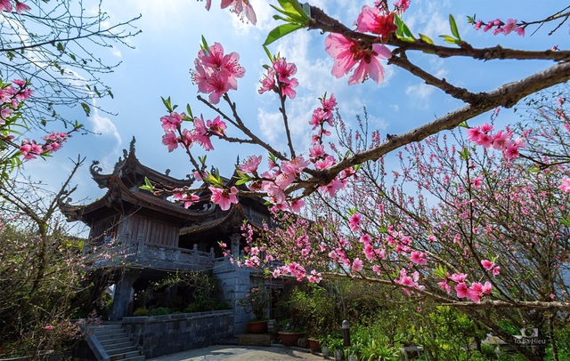 Những lý do phải đến Fansipan trong mùa cầu an đầu năm - Ảnh 1. Những lý do phải đến Fansipan trong mùa cầu an đầu năm - Ảnh 1.