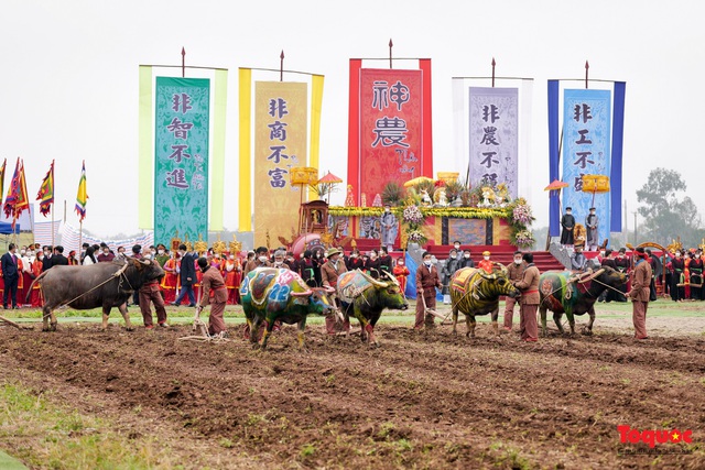 Để lễ hội Tịch điền trở thành sản phẩm du lịch hấp dẫn - Ảnh 1.