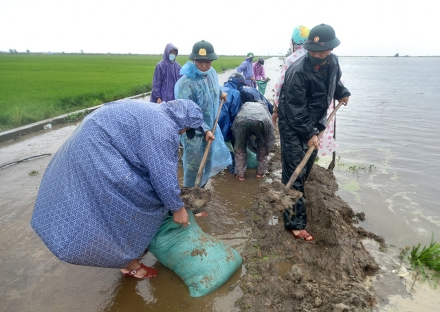 Mưa lũ ở miền Trung: Hàng nghìn ha lúa ở Quảng Trị bị ngập; Thủy điện ở Huế xả lũ ứng phó mưa lớn - Ảnh 4.