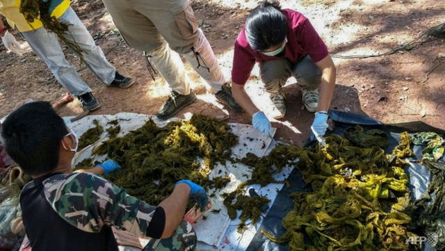 Thái Lan phạt nặng khách dùng đồ nhựa và xốp tại các vườn quốc gia - Ảnh 1.
