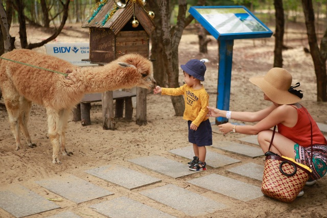 Hòa mình vào thiên nhiên hoang dã tại FLC Zoo Safari Park Quy Nhon - Ảnh 7.