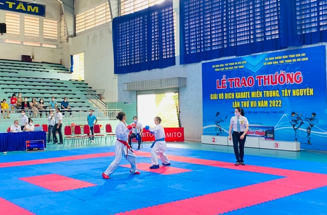 Công bố quyết định công nhận ban vận động của Liên đoàn Karate Việt Nam - Ảnh 3.