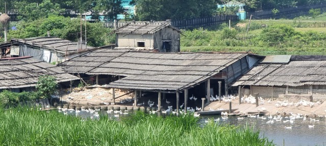 Quảng Bình: Phá vỡ cảnh quan di tích quốc gia để làm chuồng trại chăn nuôi - Ảnh 4.