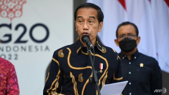 Thăm ba 'ông lớn' Đông Bắc Á, nhà lãnh đạo Indonesia tìm kiếm vị thế mới trước thềm thượng đỉnh G20 - Ảnh 1.