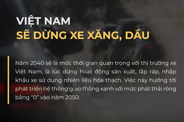 Việt Nam đặt thời hạn dừng sản xuất, lắp ráp, nhập khẩu xe sử dụng nhiên liệu hóa thạch - Ảnh 3.