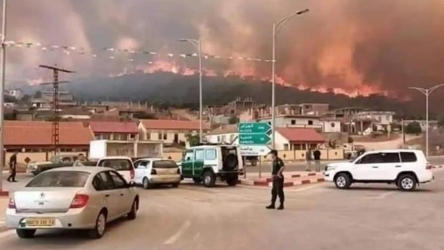 Chủ tịch nước và Thủ tướng Chính phủ gửi điện thăm hỏi vụ cháy rừng nghiêm trọng tại Algeria - Ảnh 1.