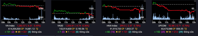 VN-Index giảm điểm do áp lực bán về cuối phiên, ngành bán lẻ ngược dòng với chủ lực từ MWG  - Ảnh 1.