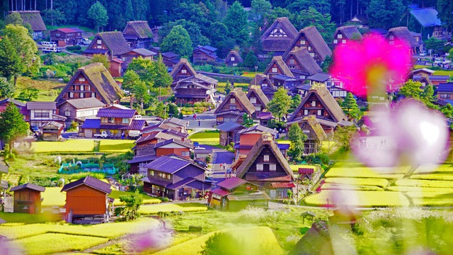 Ghé thăm ngôi làng cổ tích đẹp như trong mơ của Nhật Bản, quê hương của mèo máy Doraemon huyền thoại - Ảnh 10.