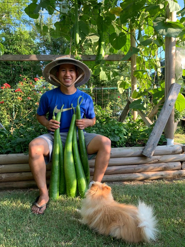 Chàng trai Việt trồng hơn 500 giống ớt, khu vườn 300 m2 ngập rau trái quê - Ảnh 9.