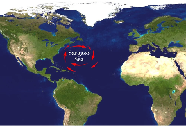 Bí ẩn vùng biển được ví với Bermuda: 4 bề không gió nhưng tàu thuyền qua là biến mất bí ẩn - Ảnh 1.