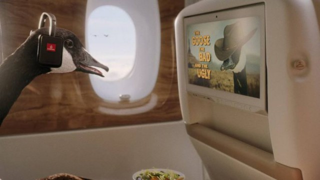 Đại sứ thương hiệu mới của hãng hàng không Emirates gây bão vì quá khác biệt  - Ảnh 1.