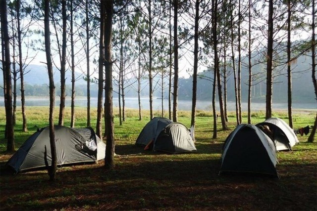 6 địa điểm cắm trại đẹp nhất ở Đà Lạt: Nơi số 3 còn được mệnh danh là &quot;Thánh địa săn mây&quot; - Ảnh 2.