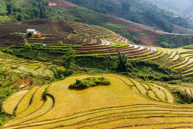 Khách Tây đi tìm cánh đồng lúa đẹp nhất Việt Nam: Chặng đường dài nhưng quá xứng đáng - Ảnh 2.