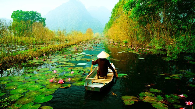 Du lịch Việt Nam trở thành xu hướng với khách Ấn Độ hậu đại dịch - Ảnh 1.