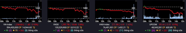 VN-Index giảm hơn 11 điểm trong phiên các quỹ ETF hoàn tất cơ cấu, khối ngoại tiếp tục bán ròng 525 tỷ đồng - Ảnh 1.