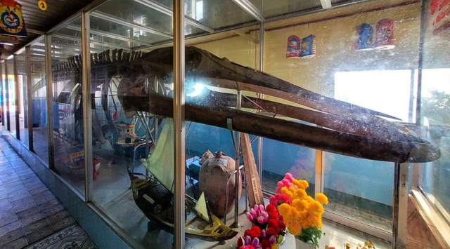 Khám phá đền thờ cá voi của Việt Nam - Ảnh 1.