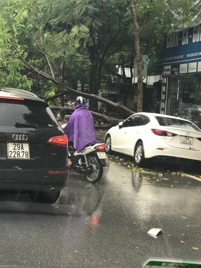 Hà Nội đổ mưa rào như trút nước, nhiều ô tô bị cây lớn bật gốc đè bẹp rúm - Ảnh 7.