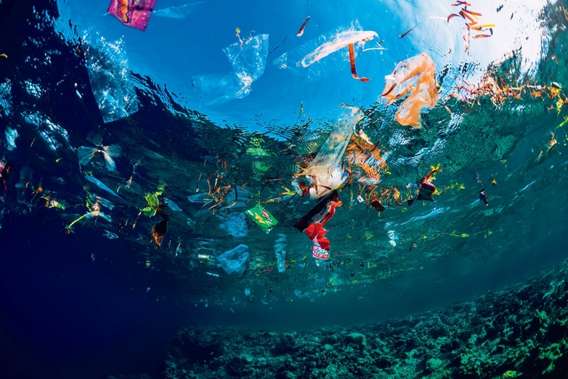 Phong trào không dùng đồ nhựa trong 1 tháng để bảo vệ môi trường   - Ảnh 2.