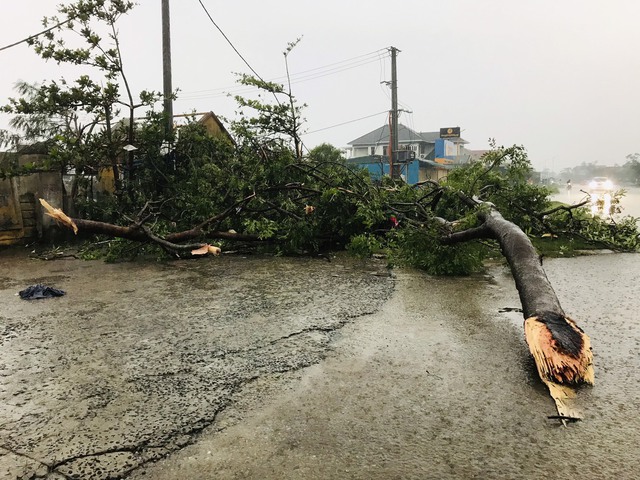 Bão Noru chưa vào bờ, lốc xoáy gây tốc mái nhiều nhà dân ở Quảng Trị - Ảnh 3.