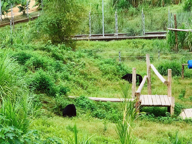 Điểm du lịch thú vị dành cho người yêu động vật hoang dã tại Ninh Bình - Ảnh 4.