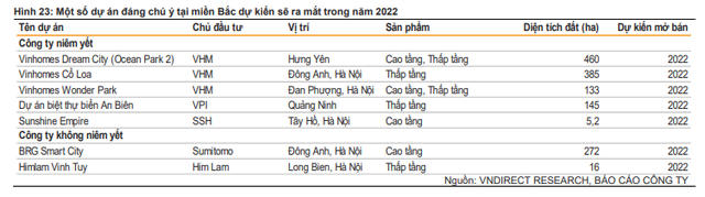 Loạt dự án sắp “chào sân” của các “ông lớn” Vinhomes, Nam Long, Đất Xanh… - Ảnh 1.